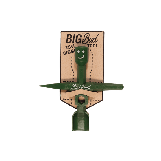 Case of BigBuds (24) brand product photo
