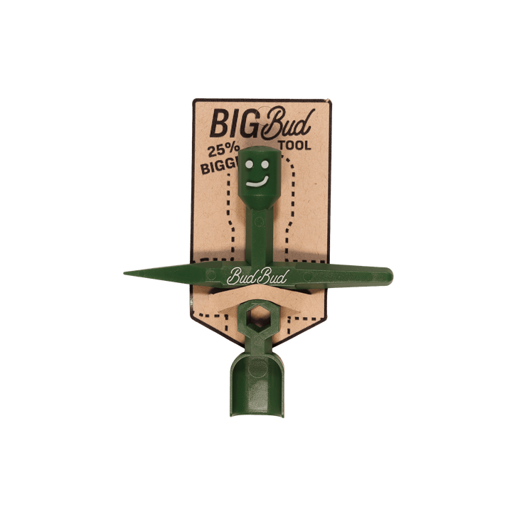 Case of BigBuds (24) brand product photo