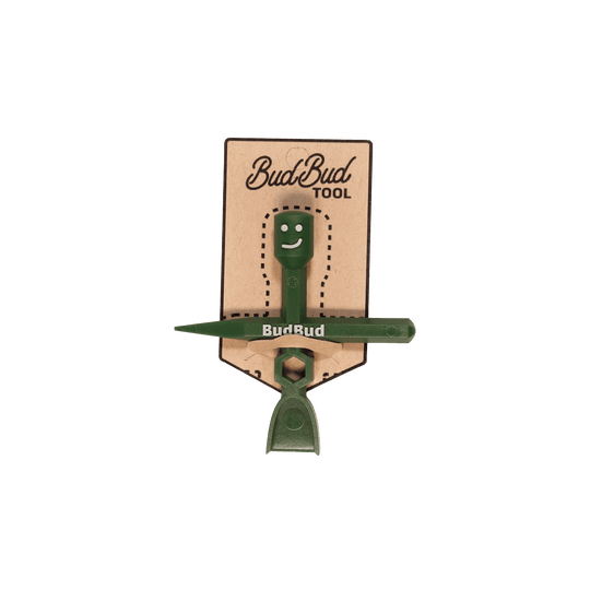 Case of BudBuds (24) brand product photo