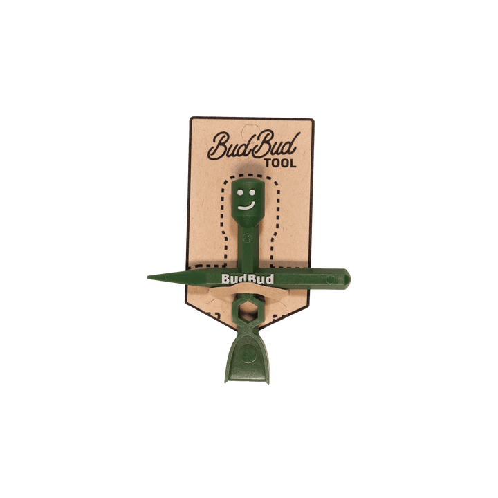Case of BudBuds (24) brand product photo