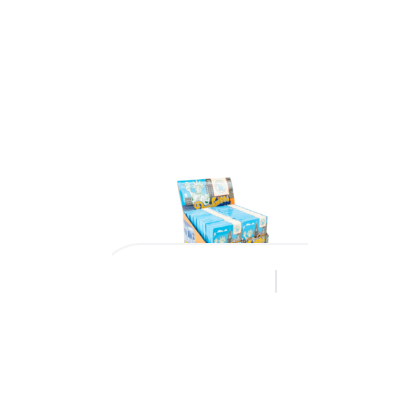 DaySavers New York State Pack