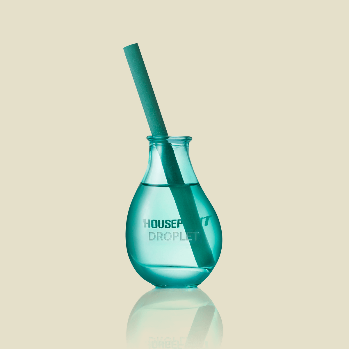 Houseplant x Droplet Reed Diffuser